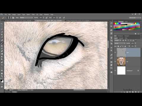 Photoshop tutorial:  Hand-painting an image with a Wacom Cintiq | lynda.com