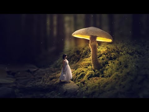 Glowing Mushroom - Photoshop Fantasy Manipulation Tutorial